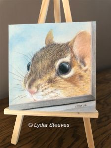 Critter Squares - Good Morning CP e-Packet